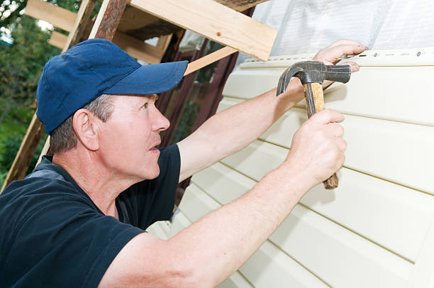 Best Brick Veneer Siding  in Ben Lomond, CA