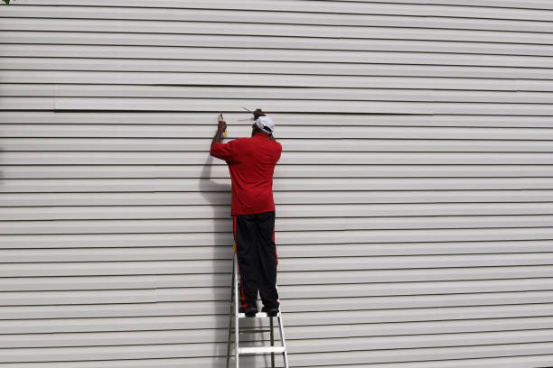 Best Custom Siding Design  in Ben Lomond, CA