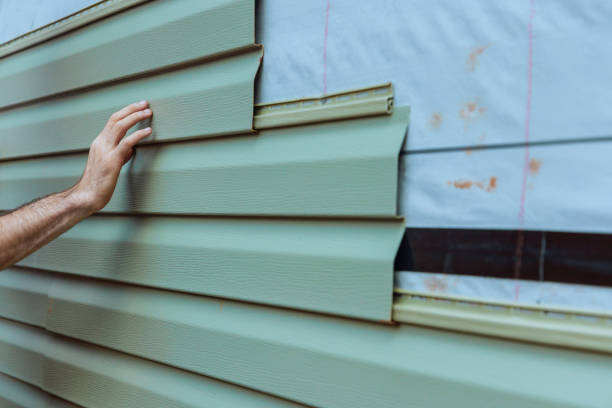 Best Vinyl Siding Installation  in Ben Lomond, CA